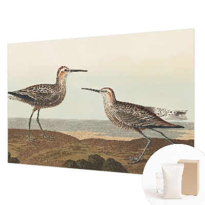 Tapeta fotograficzna fizelinowa Ptasie sylwetki