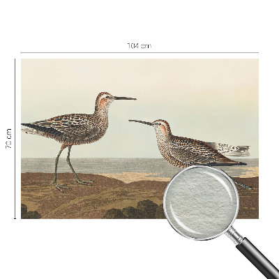 Tapeta fotograficzna fizelinowa Tapeta fotograficzna fizelinowa Ptasie sylwetki