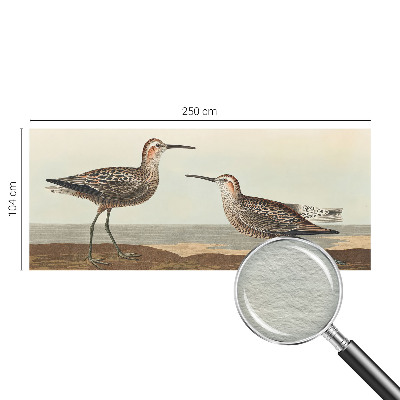 Tapeta fotograficzna fizelinowa Tapeta fotograficzna fizelinowa Ptasie sylwetki