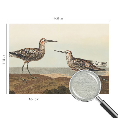 Tapeta fotograficzna fizelinowa Tapeta fotograficzna fizelinowa Ptasie sylwetki