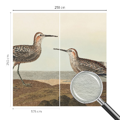 Tapeta fotograficzna fizelinowa z motywem ptasich sylwetek