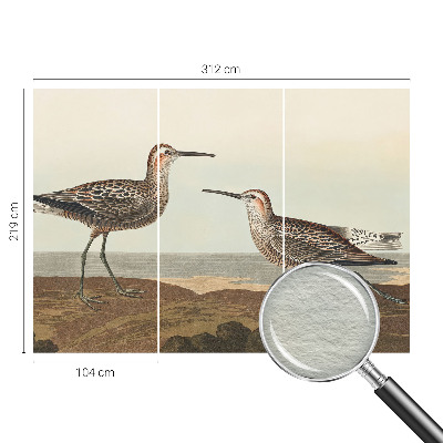 Tapeta fotograficzna fizelinowa Tapeta fotograficzna fizelinowa Ptasie sylwetki