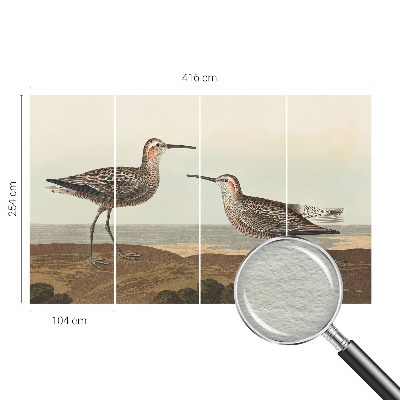 Tapeta fotograficzna fizelinowa Tapeta fotograficzna fizelinowa Ptasie sylwetki