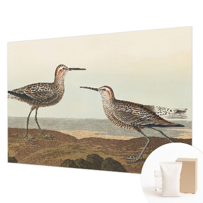 Tapeta fotograficzna fizelinowa Tapeta fotograficzna fizelinowa Ptasie sylwetki