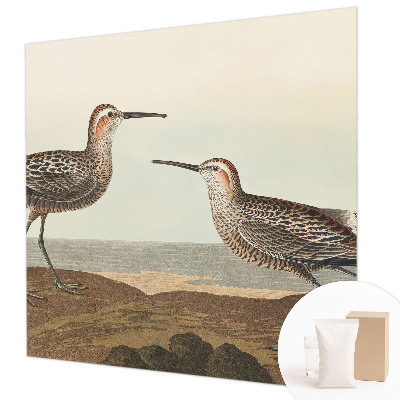 Tapeta fotograficzna fizelinowa Tapeta fotograficzna fizelinowa Ptasie sylwetki