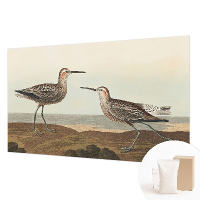 Tapeta fotograficzna fizelinowa Tapeta fotograficzna fizelinowa Ptasie sylwetki