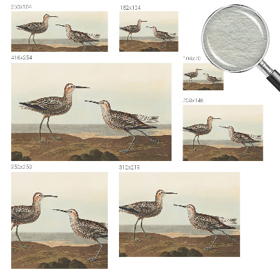 Tapeta fotograficzna fizelinowa Tapeta fotograficzna fizelinowa Ptasie sylwetki