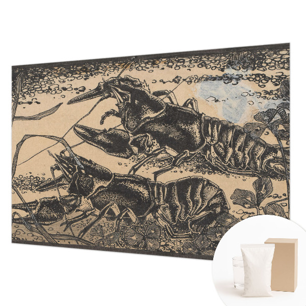 Fototapeta fizelinowa z nadrukiem Raki wodne