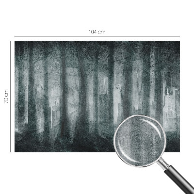 Tapeta fotograficzna z motywem tajemniczego lasu
