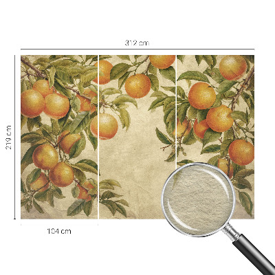 Fototapeta na ścianę Fototapeta na ścianę Owocowe gałęzie