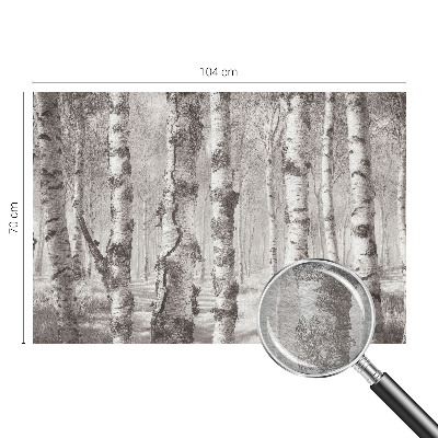 Fototapeta fizelinowa do sypialni Brzozowy las