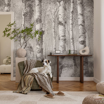 Fototapeta fizelinowa do sypialni Brzozowy las