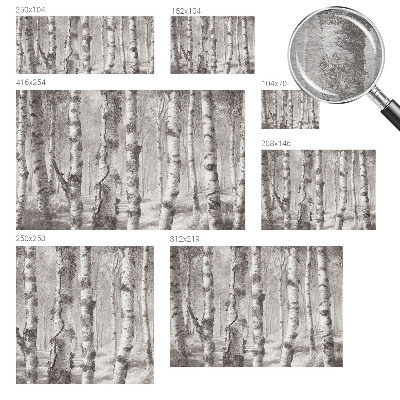 Fototapeta fizelinowa do sypialni Brzozowy las