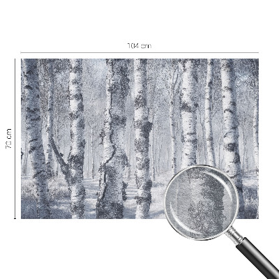 Fototapeta na ścianę Mroźna natura