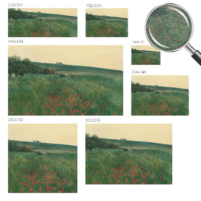 Tapeta fotograficzna fizelinowa Tapeta fotograficzna fizelinowa Makowe pola