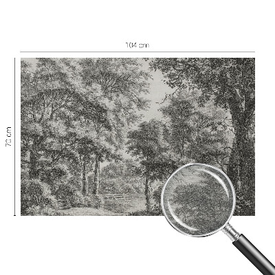 Tapeta fotograficzna fizelinowa Tapeta fotograficzna fizelinowa Leśna sceneria