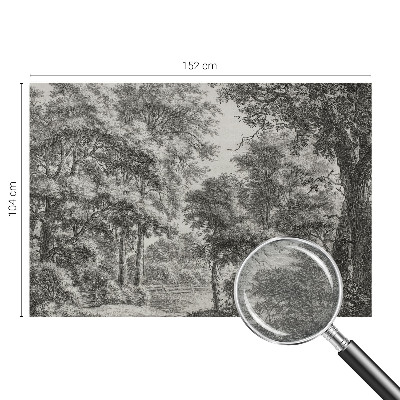 Tapeta fotograficzna fizelinowa Tapeta fotograficzna fizelinowa Leśna sceneria