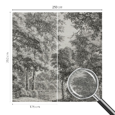 Tapeta fotograficzna fizelinowa Tapeta fotograficzna fizelinowa Leśna sceneria