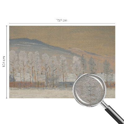 Tapeta fotograficzna Zimowa sceneria