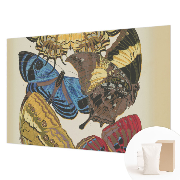 Fototapeta na ścianę Motyle inspiracja