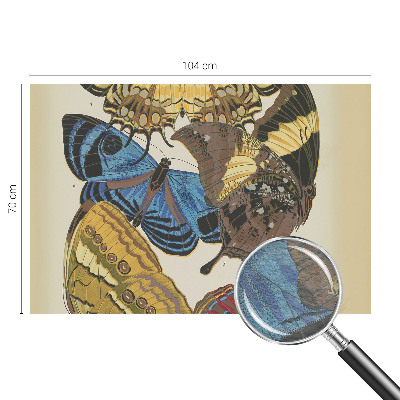 Fototapeta na ścianę Motyle inspiracja