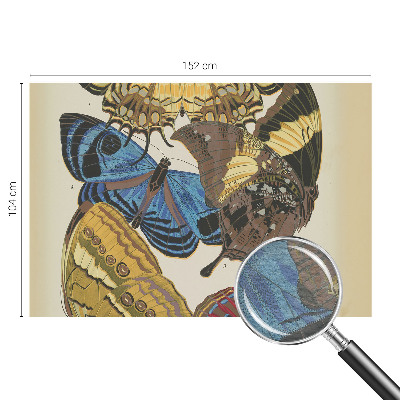 Fototapeta na ścianę Motyle inspiracja