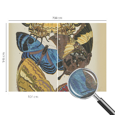 Fototapeta na ścianę Motyle inspiracja