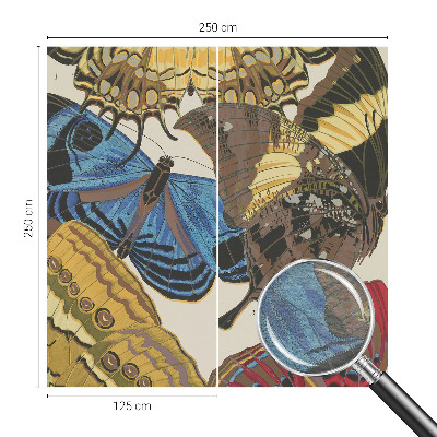 Fototapeta na ścianę Motyle inspiracja