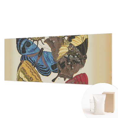 Fototapeta na ścianę Motyle inspiracja