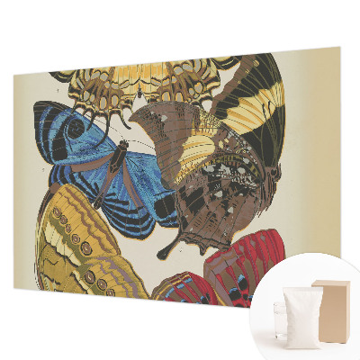 Fototapeta na ścianę Motyle inspiracja