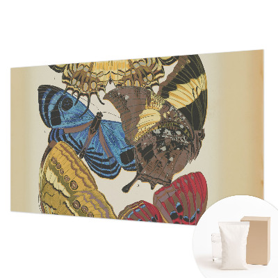 Fototapeta na ścianę z motywem motyli inspirowanych naturą