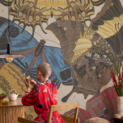 Fototapeta na ścianę Motyle inspiracja