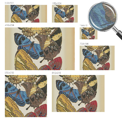 Fototapeta na ścianę Motyle inspiracja