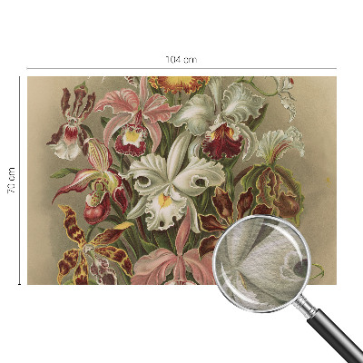 Tapeta fotograficzna Kwiatowa elegancja