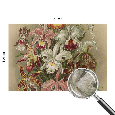 Tapeta fotograficzna Kwiatowa elegancja