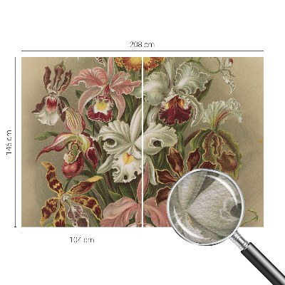 Tapeta fotograficzna Kwiatowa elegancja