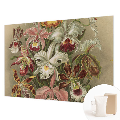 Tapeta fotograficzna Kwiatowa elegancja