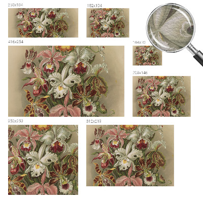 Tapeta fotograficzna Kwiatowa elegancja