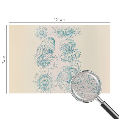 Tapeta fotograficzna fizelinowa z motywem morskich meduz