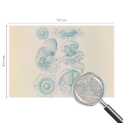 Tapeta fotograficzna fizelinowa z motywem morskich meduz
