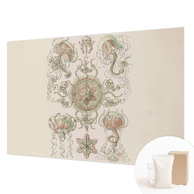 Nowoczesna fototapeta do salonu Podwodny świat