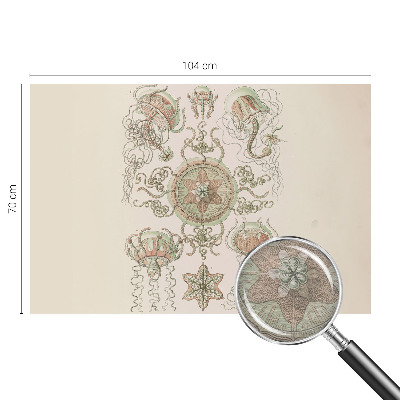 Nowoczesna fototapeta do salonu Nowoczesna fototapeta do salonu Podwodny świat