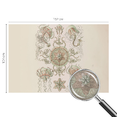 Nowoczesna fototapeta do salonu Nowoczesna fototapeta do salonu Podwodny świat