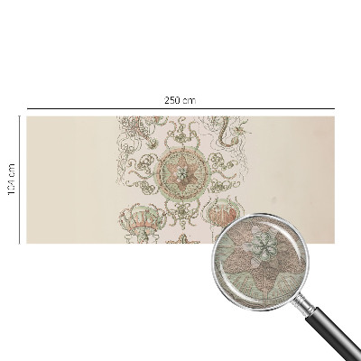 Nowoczesna fototapeta do salonu Nowoczesna fototapeta do salonu Podwodny świat