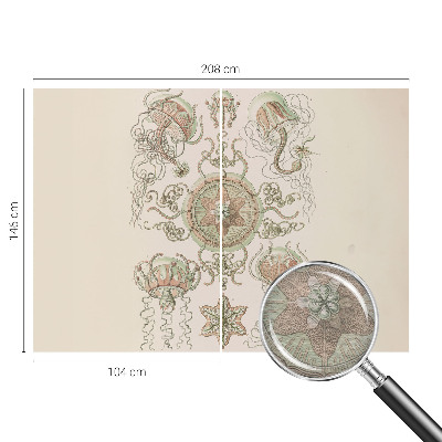 Nowoczesna fototapeta do salonu Nowoczesna fototapeta do salonu Podwodny świat