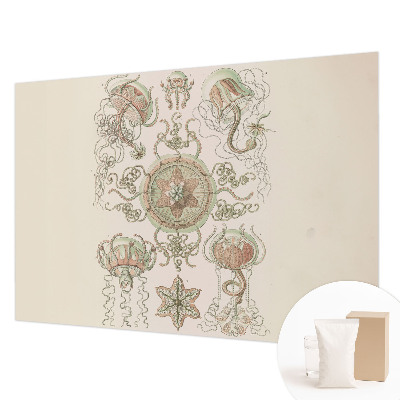 Nowoczesna fototapeta do salonu Nowoczesna fototapeta do salonu Podwodny świat