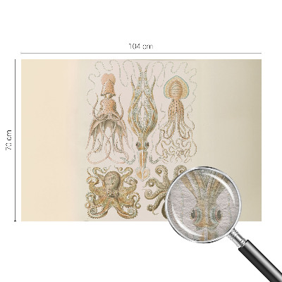 Dekoracyjna fototapeta na ścianę Dekoracyjna fototapeta na ścianę Morskie życie