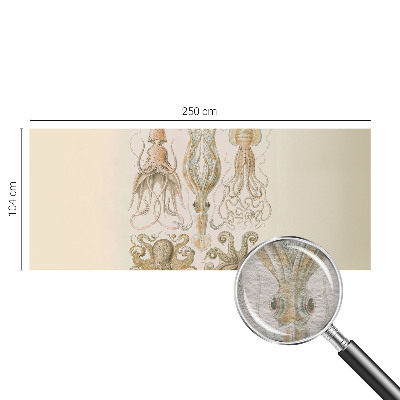 Dekoracyjna fototapeta na ścianę Dekoracyjna fototapeta na ścianę Morskie życie