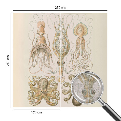 Dekoracyjna fototapeta na ścianę Dekoracyjna fototapeta na ścianę Morskie życie