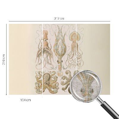 Dekoracyjna fototapeta na ścianę Dekoracyjna fototapeta na ścianę Morskie życie